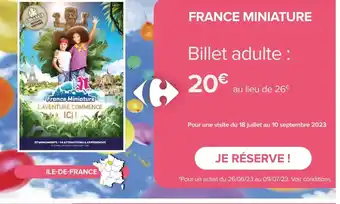 Carrefour Market FRANCE MINIATURE offre