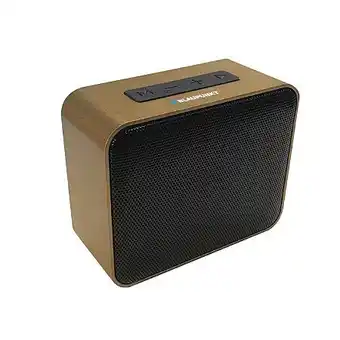 Enceinte subwoofer 5w - blaupunkt - blp3140-191 - or