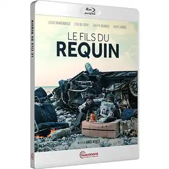 Le fils du requin