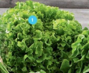 Super U SALADE offre