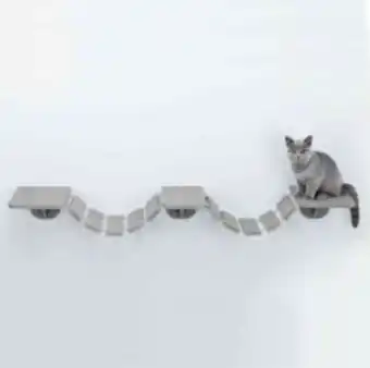 Terranimo Echelle d'escalade murale pour chat offre