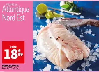 Auchan Queue de lotte offre