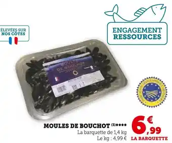 U Express Moules de bouchot offre