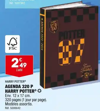 ALDI Harry potter agenda 320 p harry potter offre