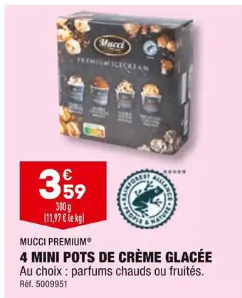 ALDI Mucci premium 4 mini pots de crème glacée offre