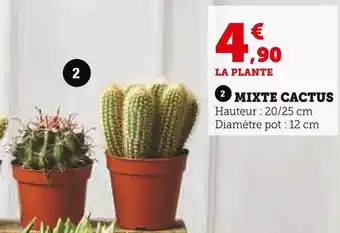 Super U Mixte cactus offre