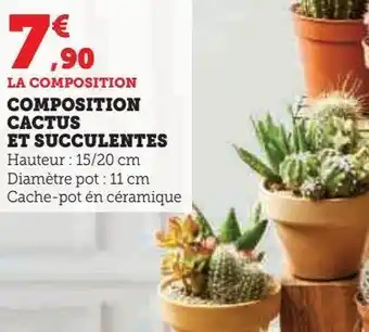 Hyper U Composition cactus et succulentes offre