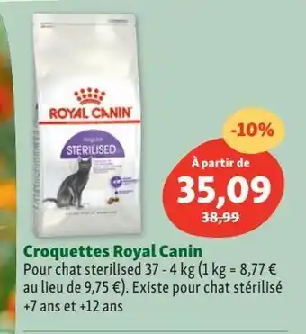Maxi Zoo Croquettes pour chats royal canin offre