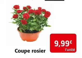 Colruyt Coupe rosier offre