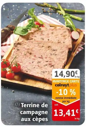 Colruyt Terrine de campagne aux cèpes offre