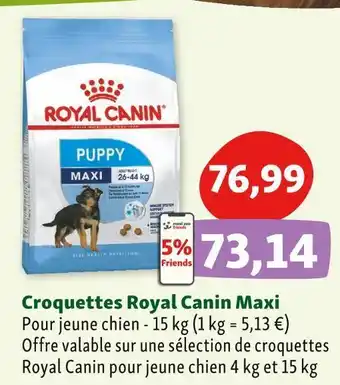 Maxi Zoo Royal canin croquettes maxi offre