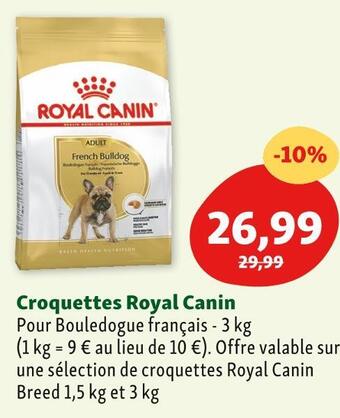 Maxi Zoo Royal canin croquettes offre
