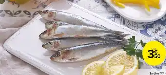 Carrefour Market Sardine offre