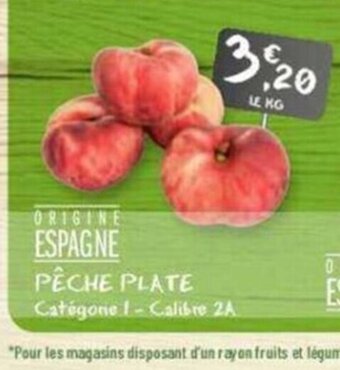 G20 PÊCHE PLATE offre