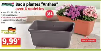 Norma Bac à plantes Anthea offre