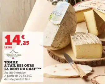 TOMME A L'AIL DES OURS LA DENT DU CHAT¹**