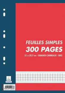 Bureau Vallée 300 FEUILLES MOBILES 80 GR OU 300 COPIES DOUBLES 70 GR offre