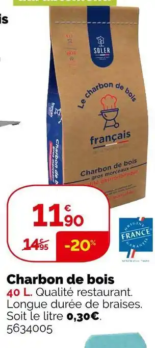 Weldom Charbon de bois offre