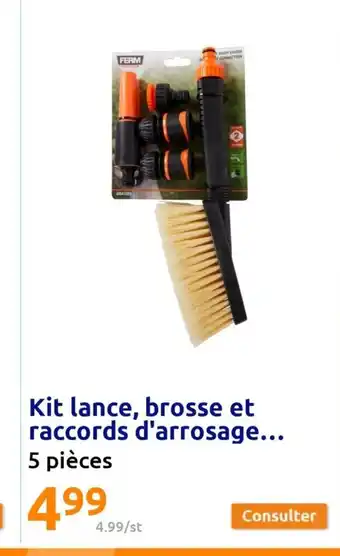 Action Kit lance, brosse et raccords d'arrosage... 5 pièces offre