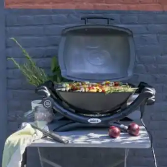 Gamm vert Barbecue éléctrique weber q1400 offre