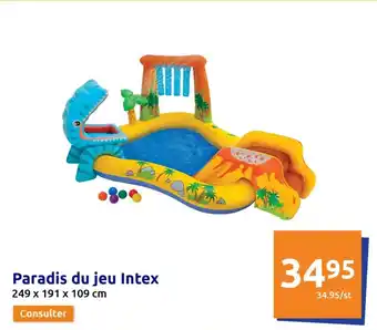 Action Paradis du jeu Intex offre