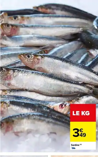 Carrefour Sardine (n) offre