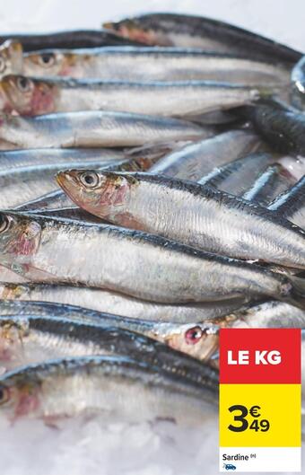 Carrefour Sardine offre