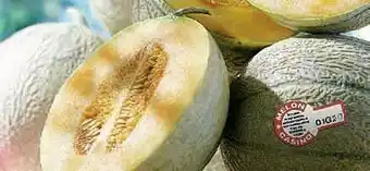 Petit Casino MELON CHARENTAIS JAUNE CASINO CATÉGORIE 1 CALIBRE 950/1150 G offre