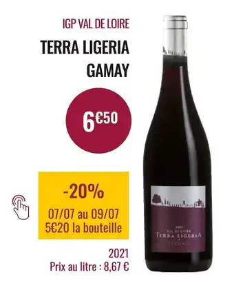 Nicolas Terra ligeria / gamay igp val de loire offre