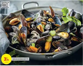 Intermarché Moules de bouchot offre
