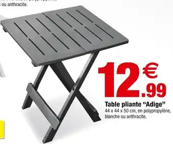 Bazarland Table pliante “adige” offre