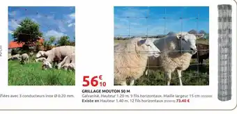Rural Master Grillage mouton 50m offre