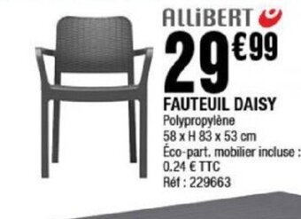 La Foir'Fouille FAUTEUIL DAISY offre