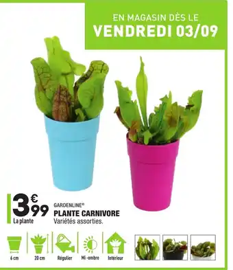 ALDI Plante carnivore offre