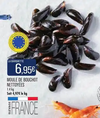 Match Moule de bouchot nettoyées offre
