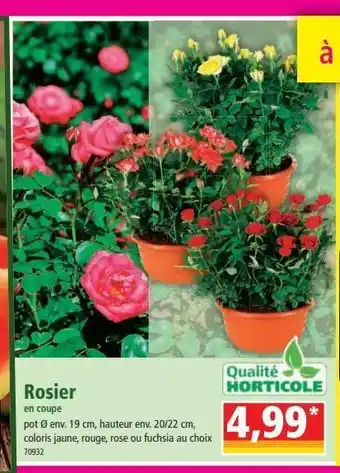 Norma Rosiers offre