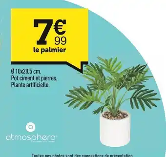 Centrakor Le palmier offre