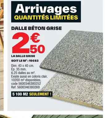 Brico Dépôt DALLE BÉTON GRISE offre