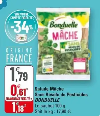 G20 Salade Mâche Sans Résidu De Pesticides offre