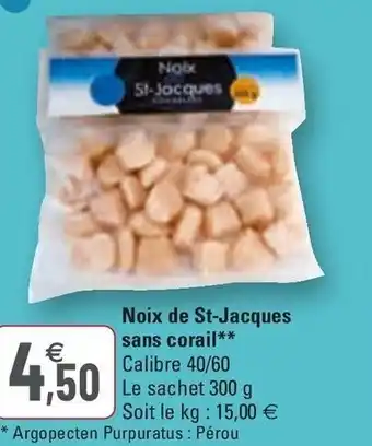 G20 Noix De St-Jacques offre