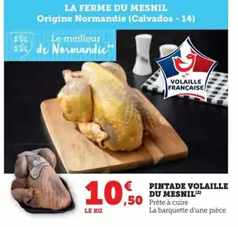 Super U Pintade volaille du mesnil offre