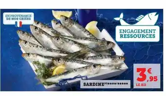 U Express Sardine offre