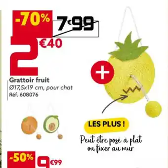Gifi Grattoir fruit Ø17,5x19 cm, pour chat offre