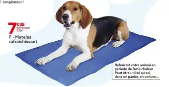 Gifi Matelas rafraîchissant offre