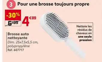 Gifi Brosse auto nettoyante offre