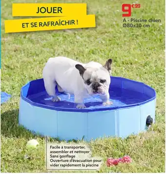 Gifi Piscine chien 80x30cm offre