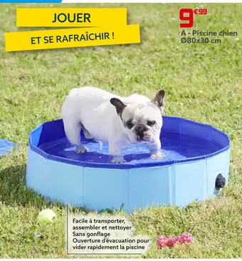 Gifi Piscine chien offre