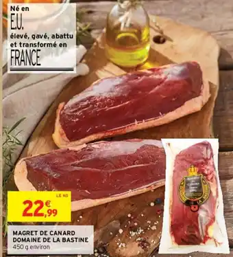 Intermarché MAGRET DE CANARD DOMAINE DE LA BASTINE offre