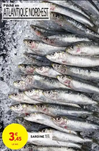 Intermarché SARDINE offre