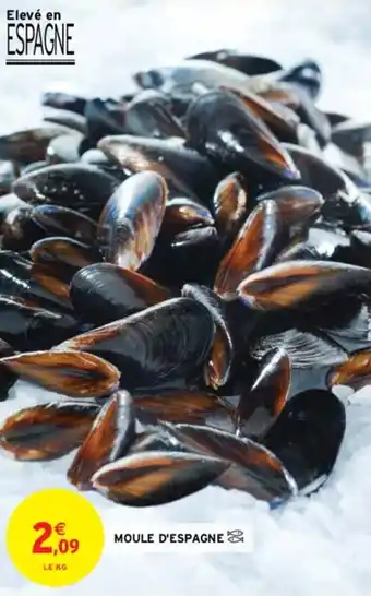 Intermarché MOULE D'ESPAGNE offre